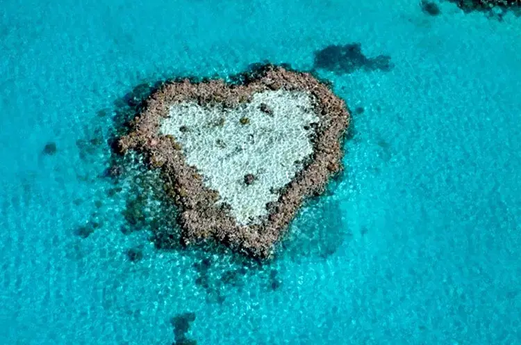 Aerial view of heart reef with turquoise waters.